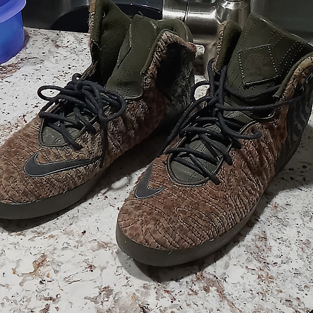 Nike lebron shoes